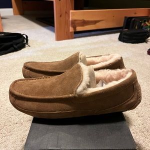UGG Ascot Tan New